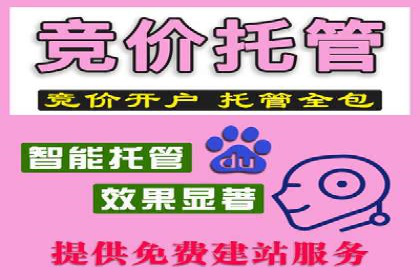 竞价推广技巧分享：成功案例剖析